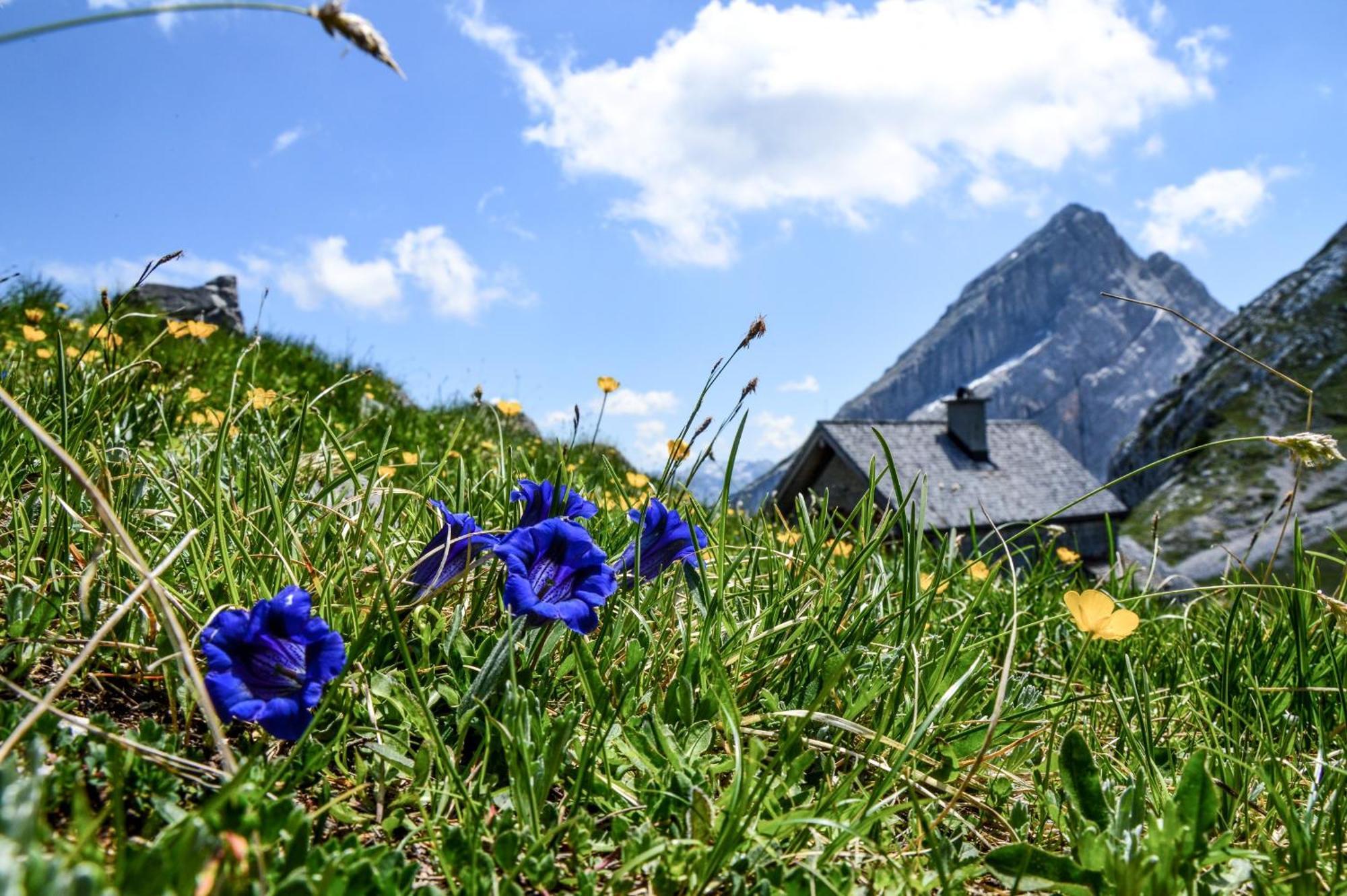 Ferienwohnung Fagstein Schönau am Königssee Exteriör bild